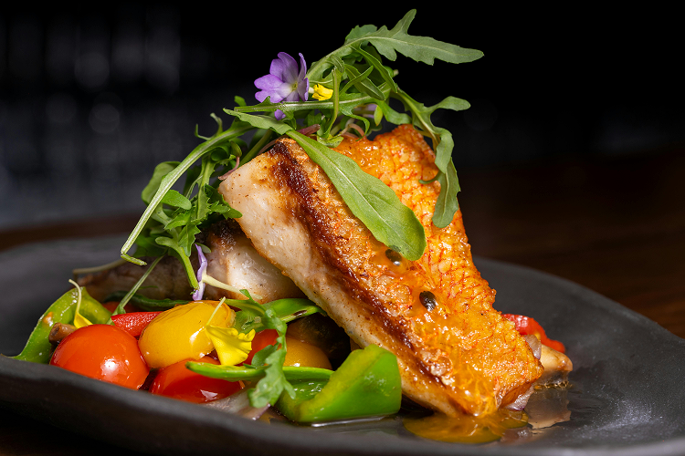 balneario camboriu gastronomia